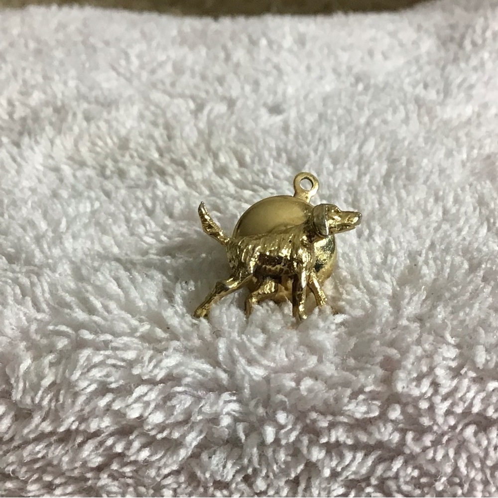 Gold Dog Charm Pendant for Small Pets